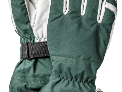 ski gloves, winter gloves