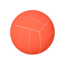 single color volleyballs