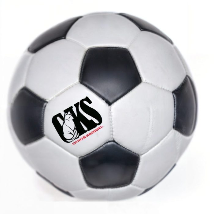 Custom soccer balls