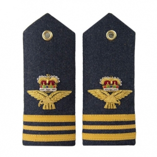 Air Force Shoulder Badges and metal wings