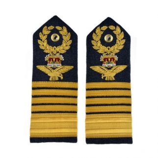 Air Force Shoulder Badges and metal wings