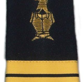 Rank Slides & Epaulettes French Army Militaria